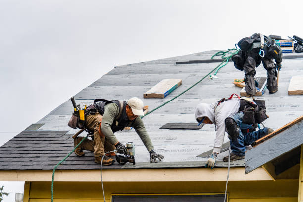 Professional Gutter Installation technician working in Colchester, IL